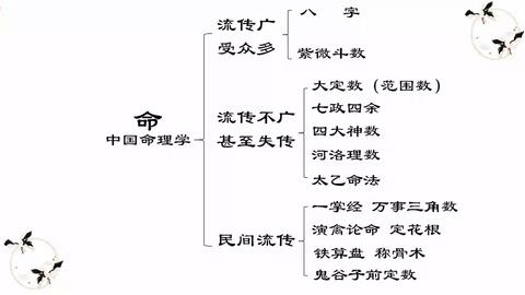 神奇的中国五术文化之命学部（上）_哔哩哔哩_bilibili