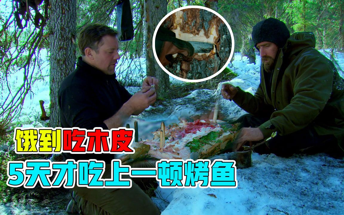 荒野厨王在雪地荒野求生饿慌了吃树皮5天才吃上一顿烤鱼