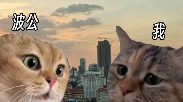 当波波问我柬埔寨的现状