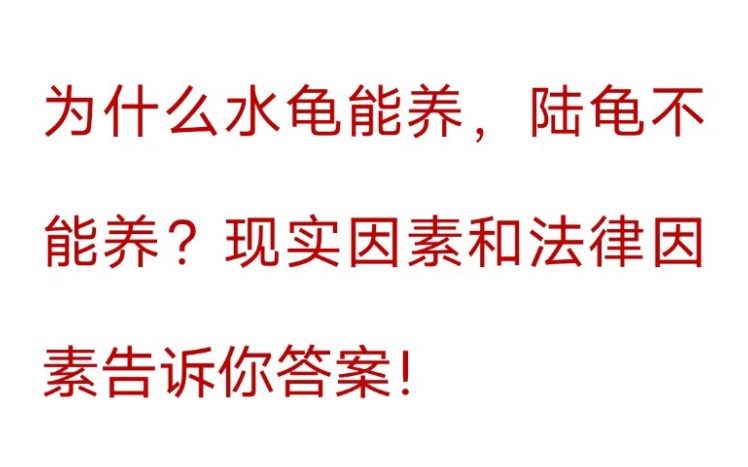 为什么同样是保护动物,水龟可以养,陆龟不可以养?哔哩哔哩bilibili