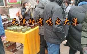 下载视频: 年后的鸣虫大集，人越来越多了