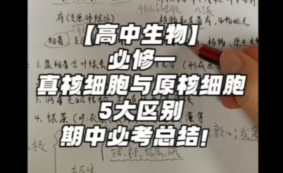 【高中生物必修一】10分钟学清楚真核细胞和原核细胞的异同哔哩哔哩bilibili