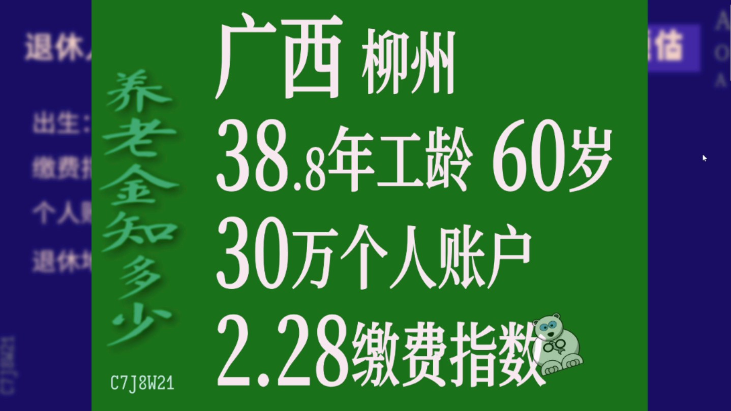 广西柳州,工龄38.8年,个人账户30万,60岁退休养老金计算哔哩哔哩bilibili