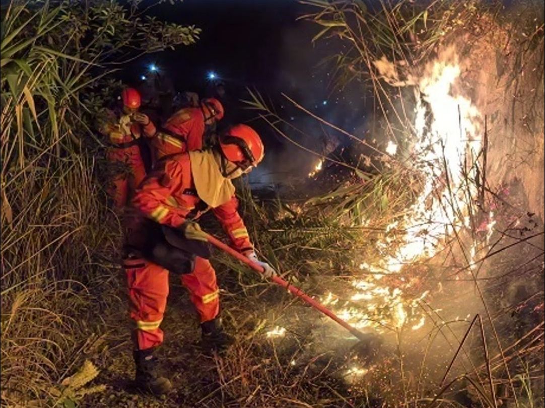 肇庆高要区发生山火,各方扑救力量近600人,暂无人员伤亡和重要设施损毁报告哔哩哔哩bilibili