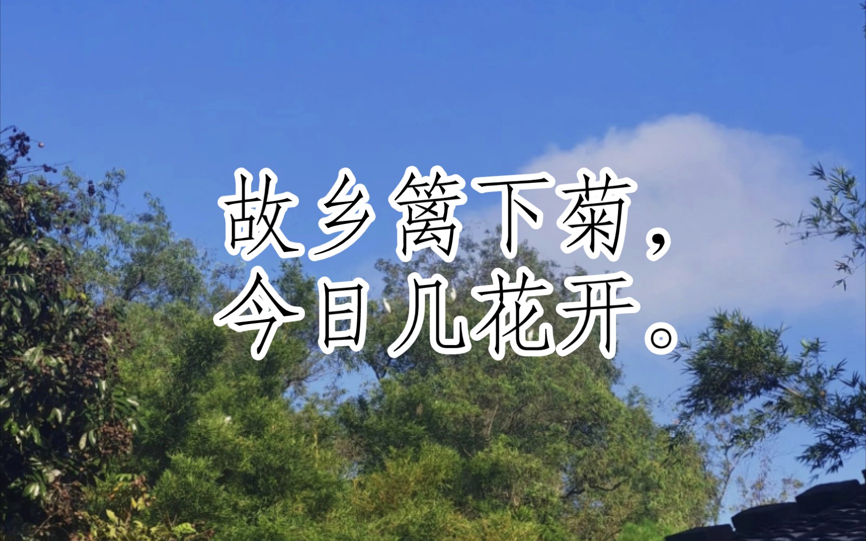 古诗三百首(于长安归还扬州九月九日行薇山亭赋韵/长安九日诗[南北朝]江总)哔哩哔哩bilibili