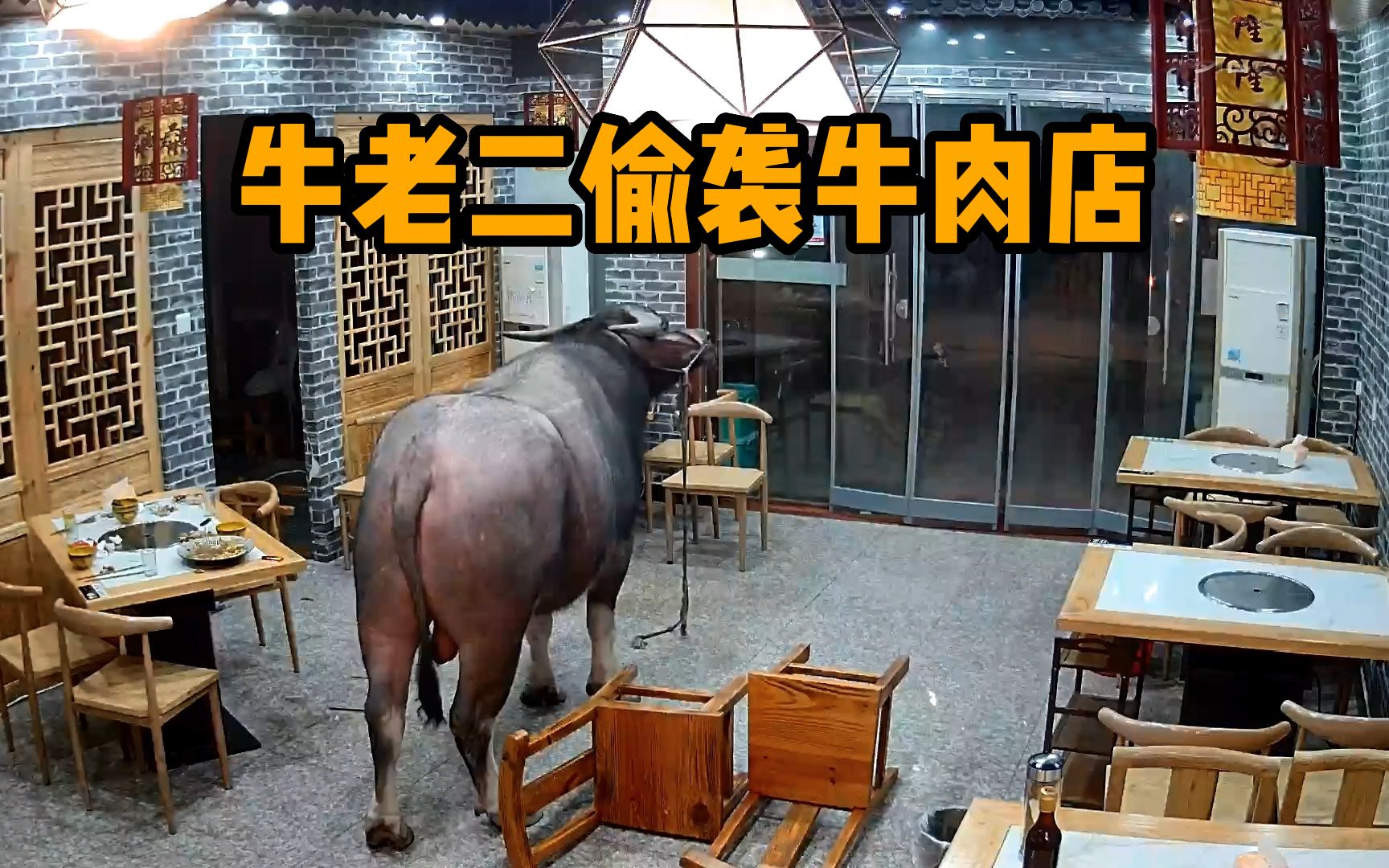 [图]屠宰场疯牛深夜逃离，冲进牛肉火锅店撞飞老板!看到结局我笑了