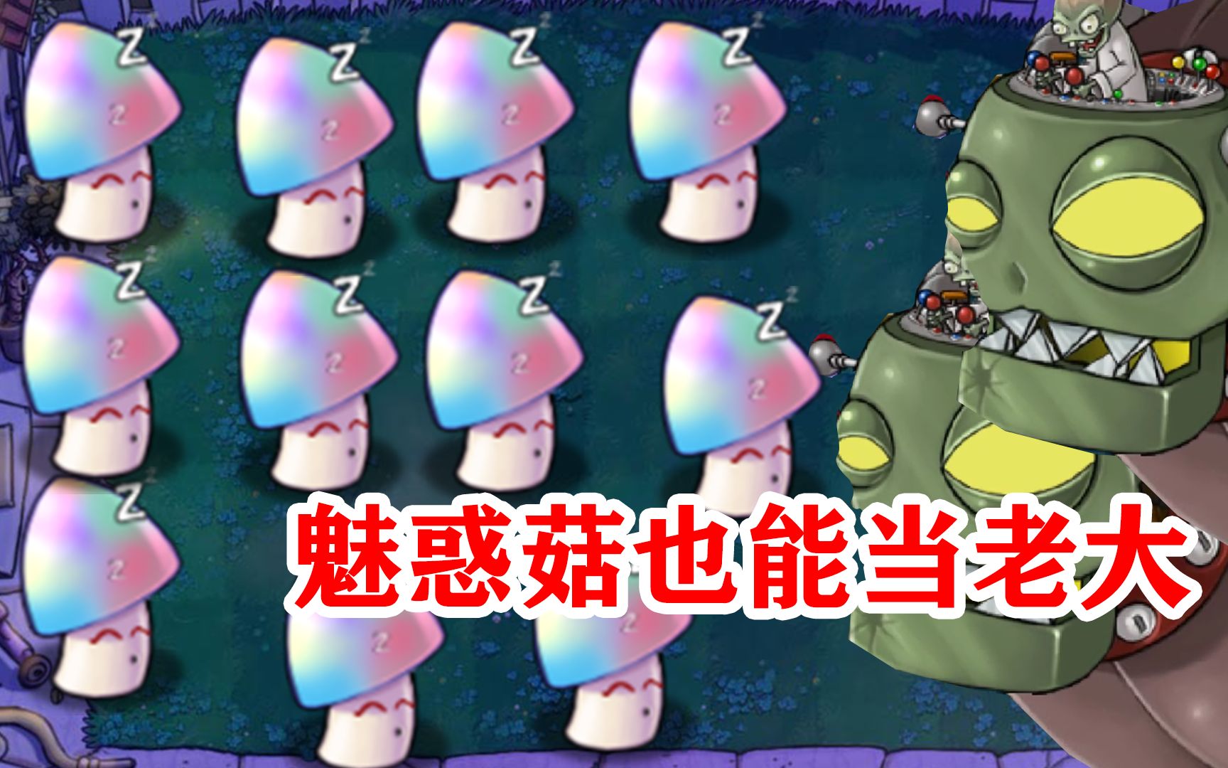 植物大战僵尸:魅惑菇也能当老大,这可厉害了啊