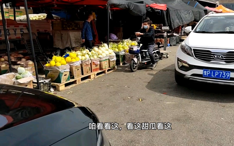 西安北郊雨润批发市场走起,应季水果批发确实便宜不少!太合算了哔哩哔哩bilibili