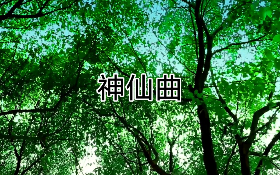 道家音乐《神仙曲》哔哩哔哩bilibili