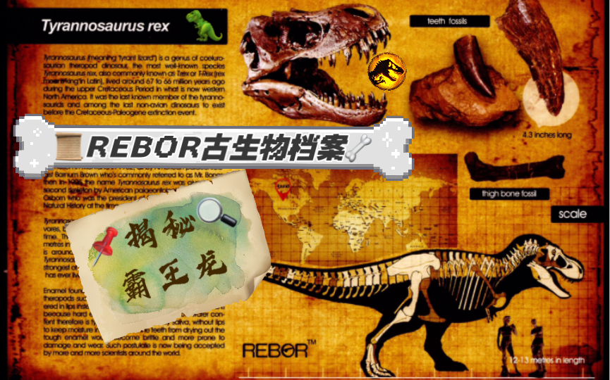 【Kefreezer古生物大揭秘】Rebor霸王龙『君王暴龙』Tyrannosaurus rex哔哩哔哩bilibili