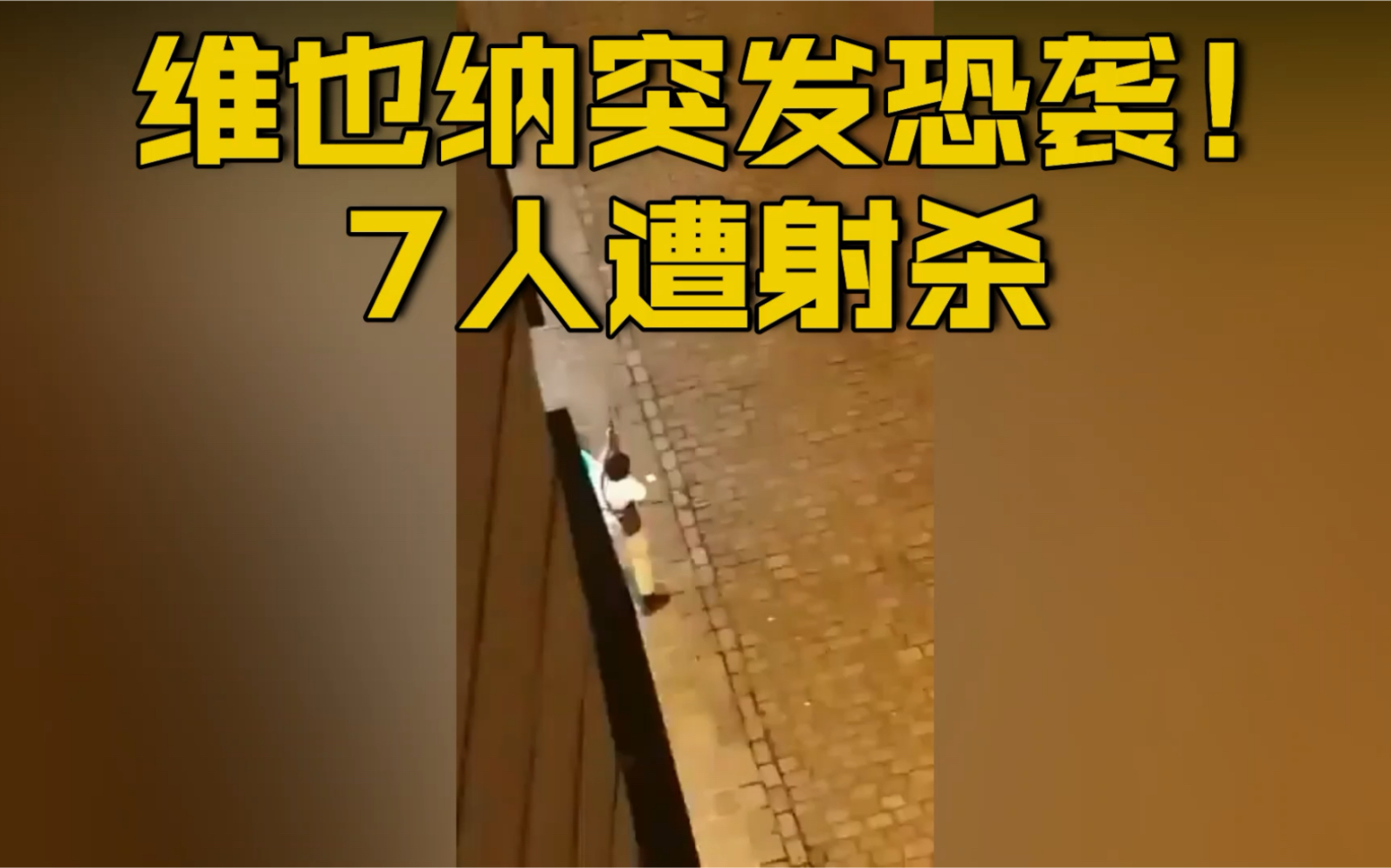 [图]【突发！维也纳遭恐袭 至少7人被射杀、多人受伤】