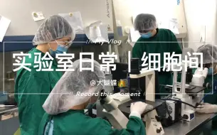 学生物的硕博生每天都在干嘛？剪个视频告诉爸妈我假期为什么不回家。科研民工的日常之一：吃时间的细胞间