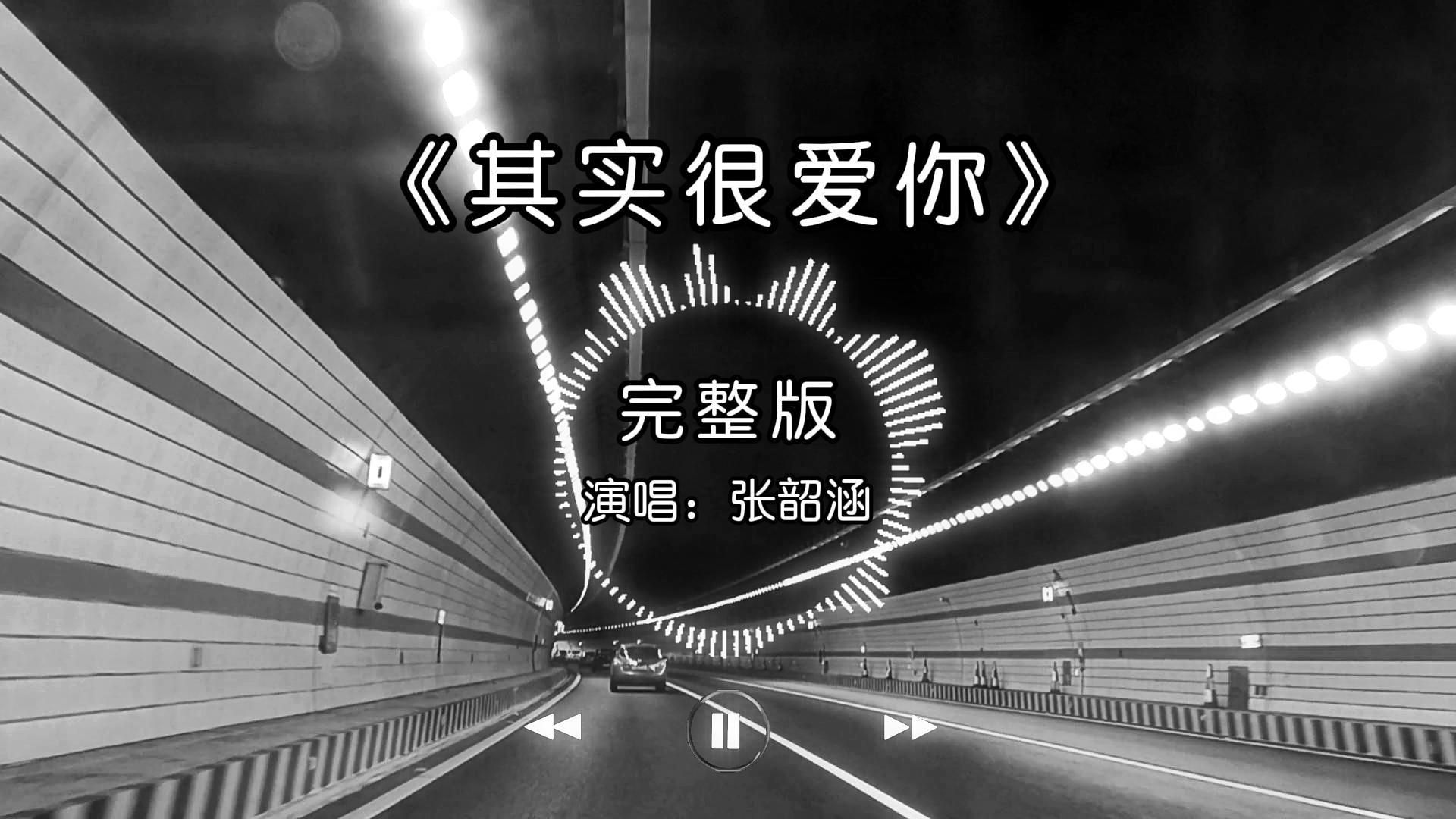 【单循推荐】一首张韶涵的《 其实很爱你》原唱完整版,一曲泪潸然,唱不尽的痴情与无奈!哔哩哔哩bilibili