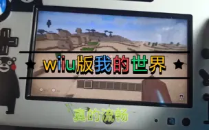 Download Video: 《我的世界》wiiu版本实机体验，真的很特别！！！