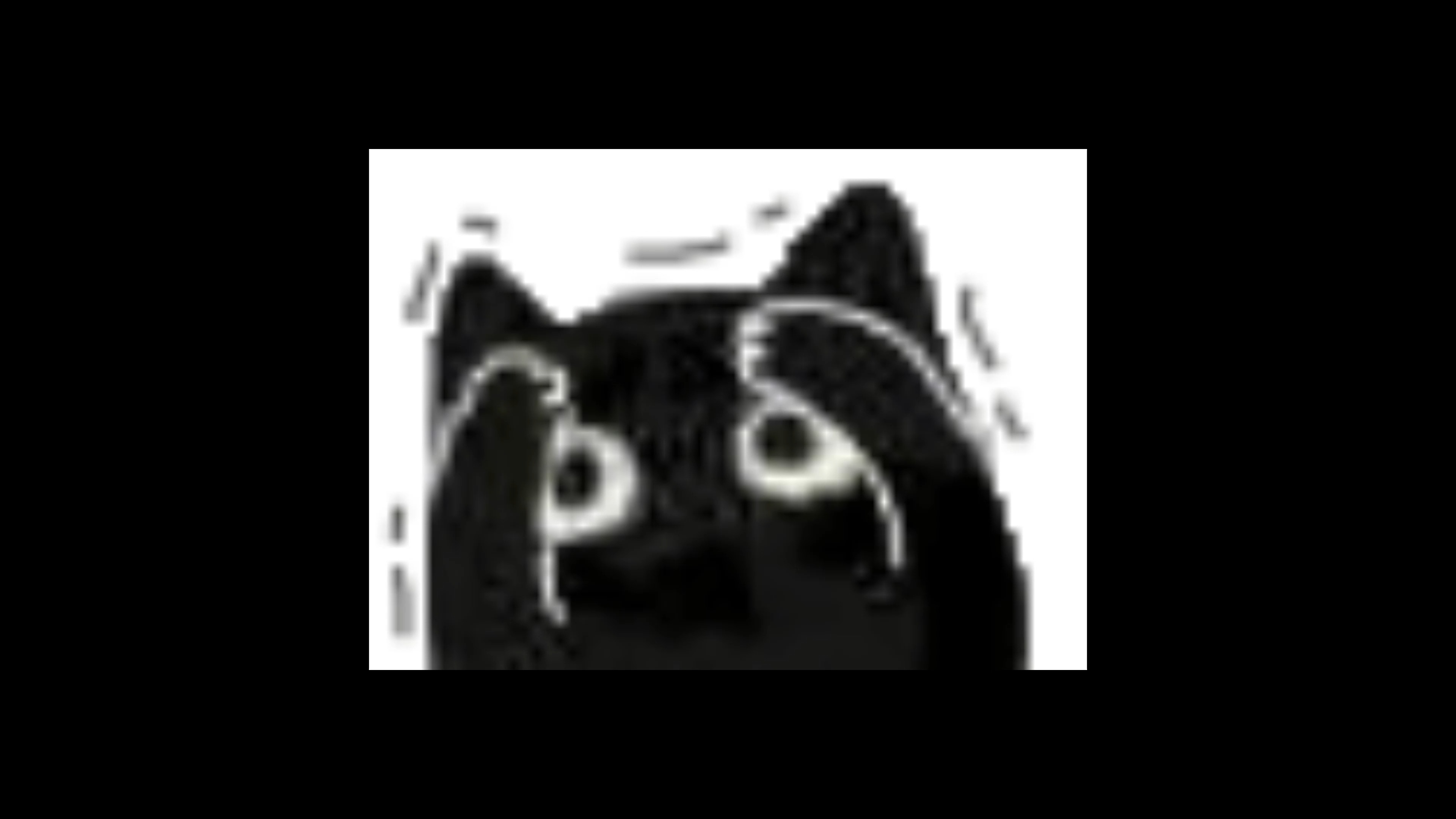 碟仙不是这样玩的啊