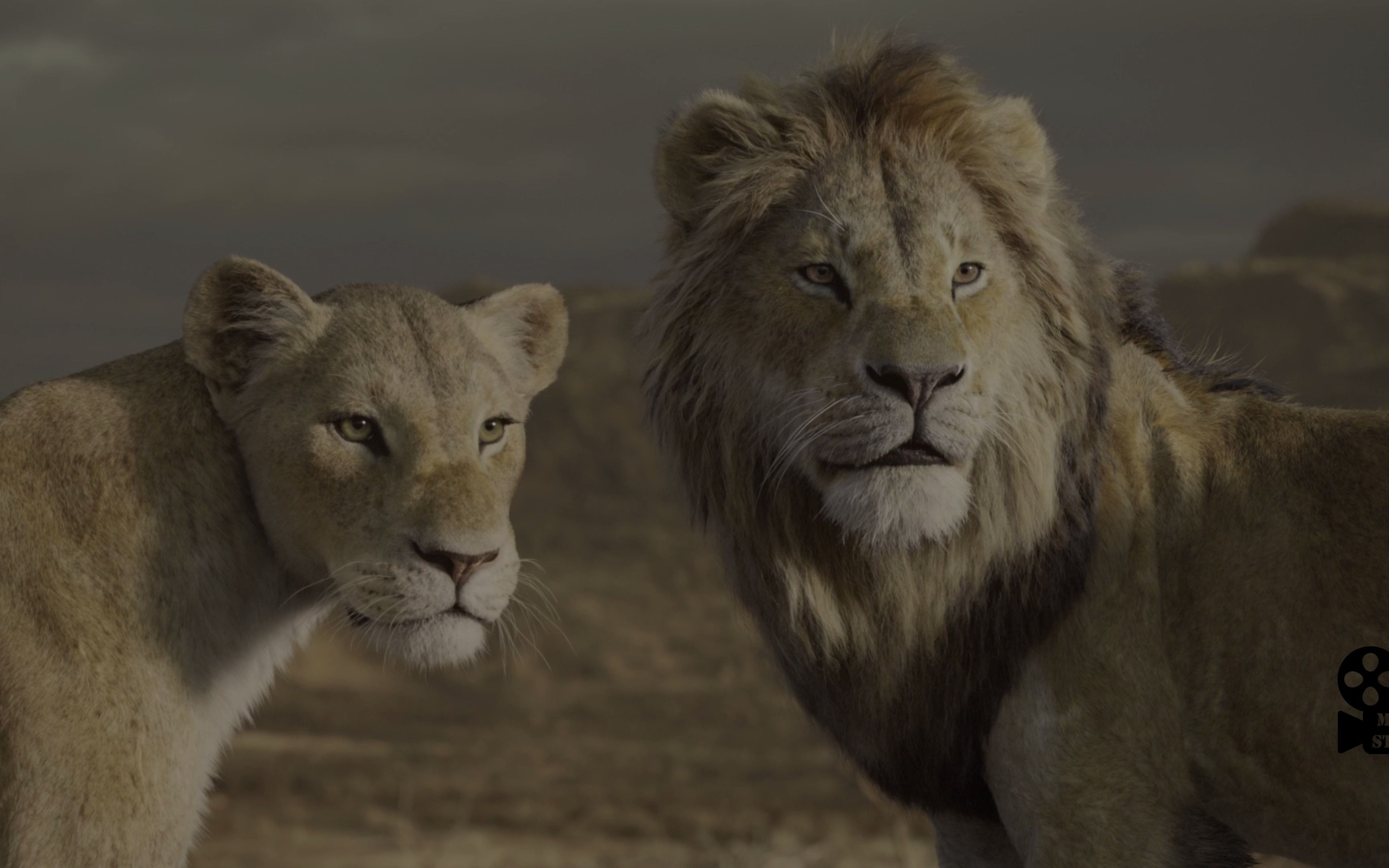 狮子王thelionking20192160pmovieclip7