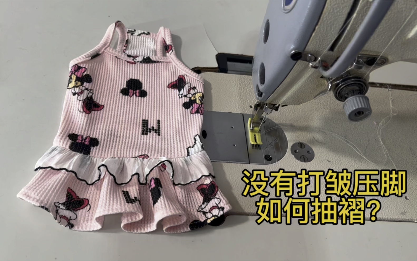 宠物服装制作教程猫狗哔哩哔哩bilibili