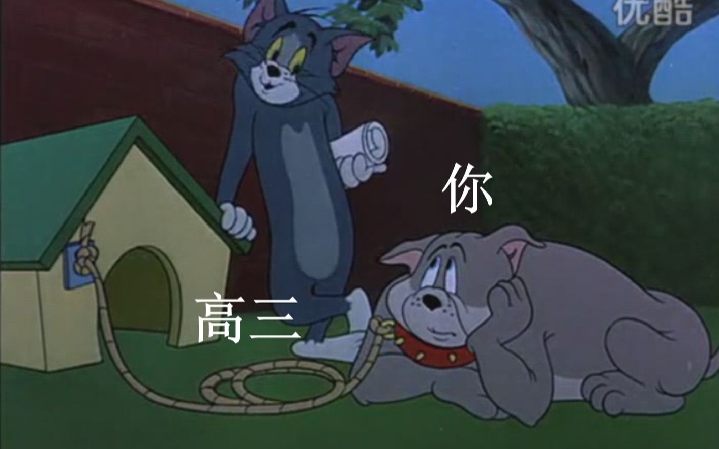 用猫和老鼠的方式打开2019高考数学1卷,过于真实!