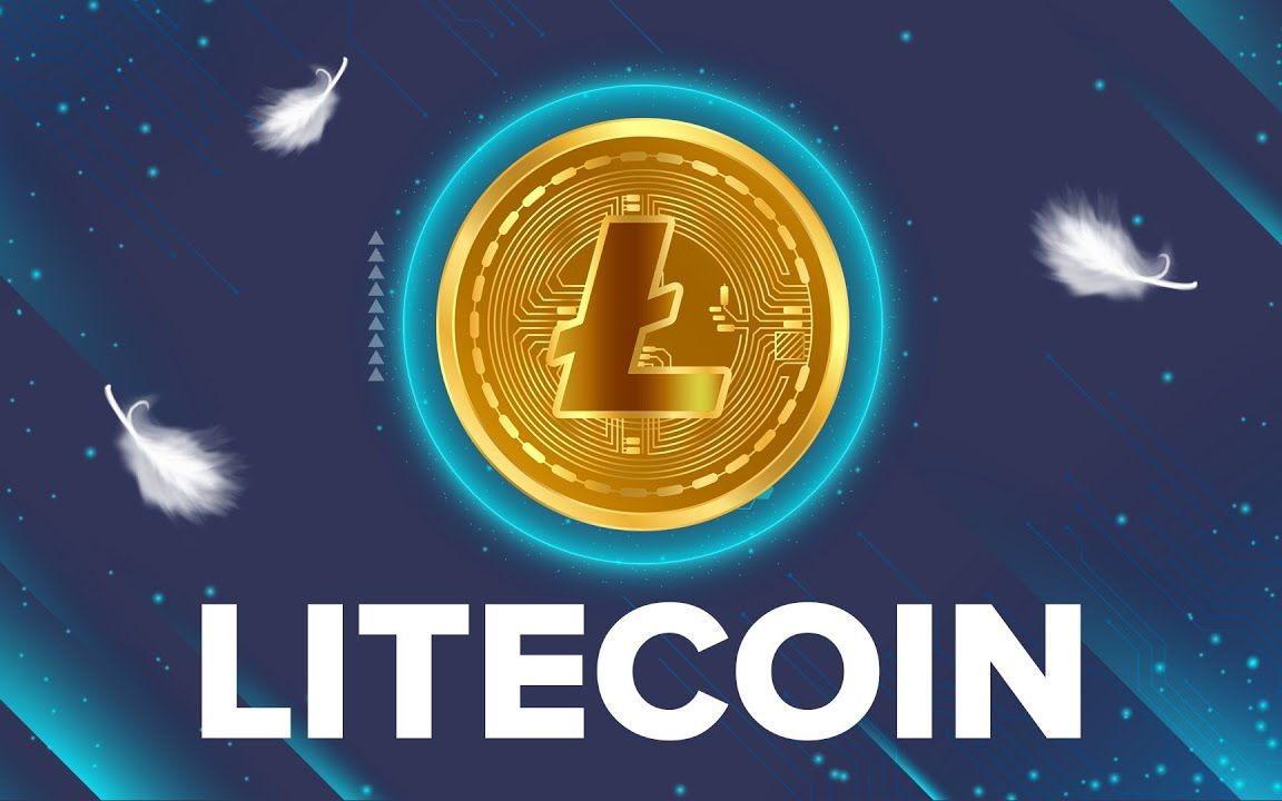 What is Litecoin LTC? / 什么是莱特币?哔哩哔哩bilibili