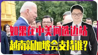 Descargar video: 万万没想到，若在中美间选边站，越南新加坡柬埔寨居然是这个答案