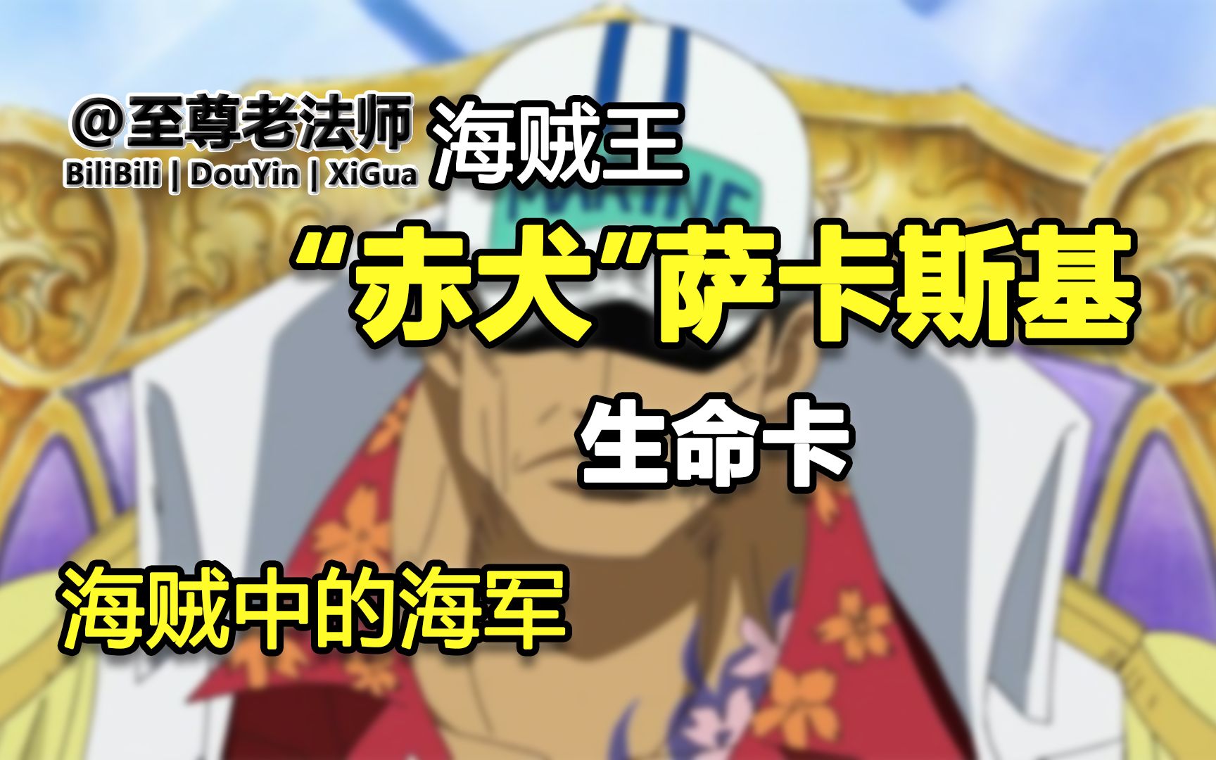 (0595)“赤犬”萨卡斯基的生命卡信息【海贼王中的海军】哔哩哔哩bilibili