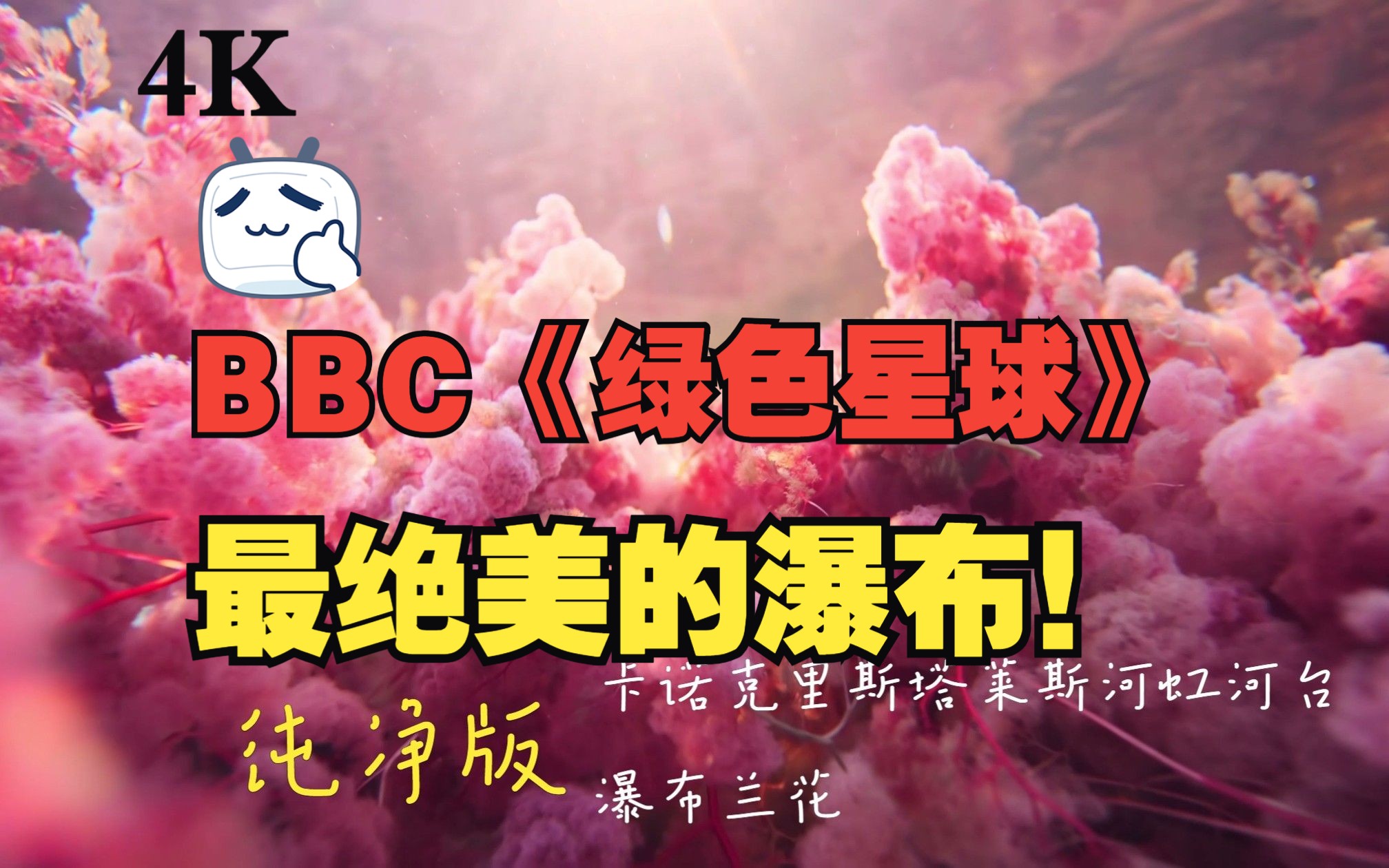 [图]BBC《绿色星球》粉色瀑布