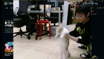 兲的迷惑行为：手脚并用追木木