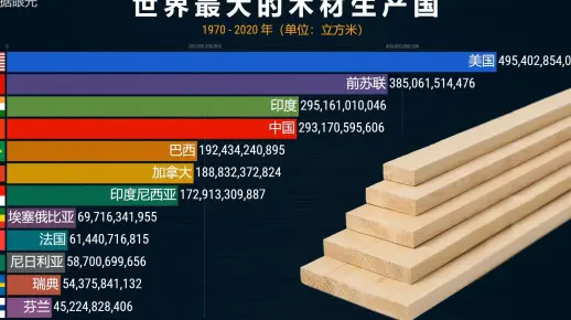 最大的木材生产国 全球各国木材产量动态数据排行榜
