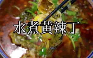 Download Video: 水煮黄辣丁的江湖做法，味道巴适得板！