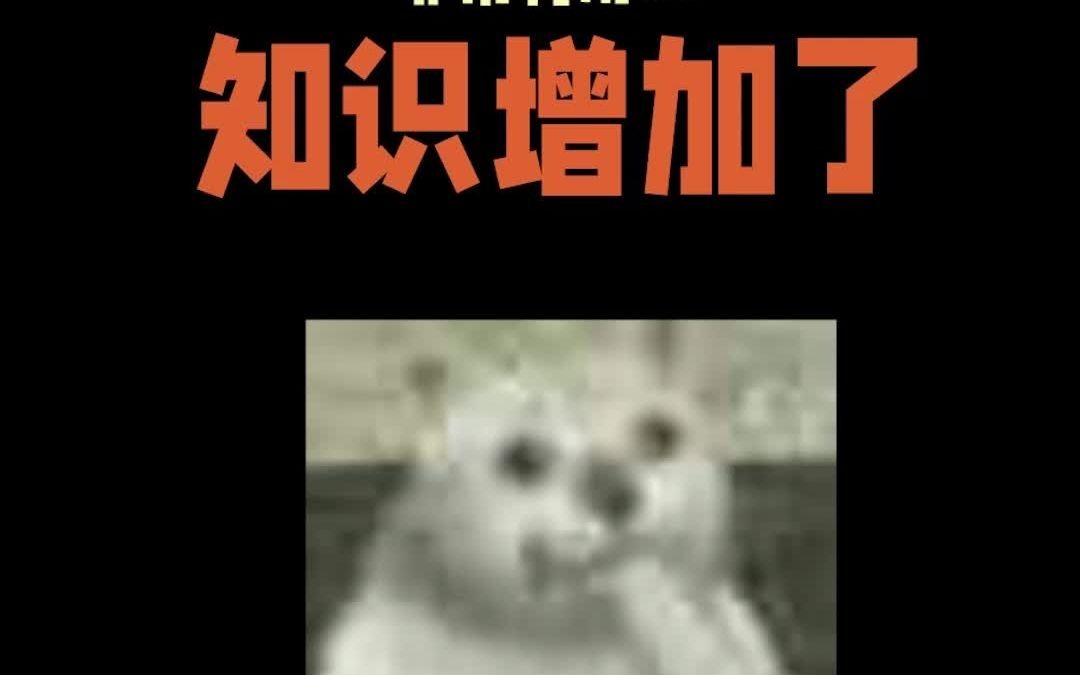 星际战甲非常有用的知识增加了2星际战甲星际战甲国服warframe