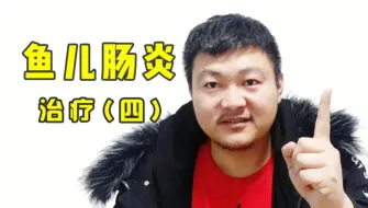 下载视频: 鱼儿得了肠炎病，教你轻松来搞定。