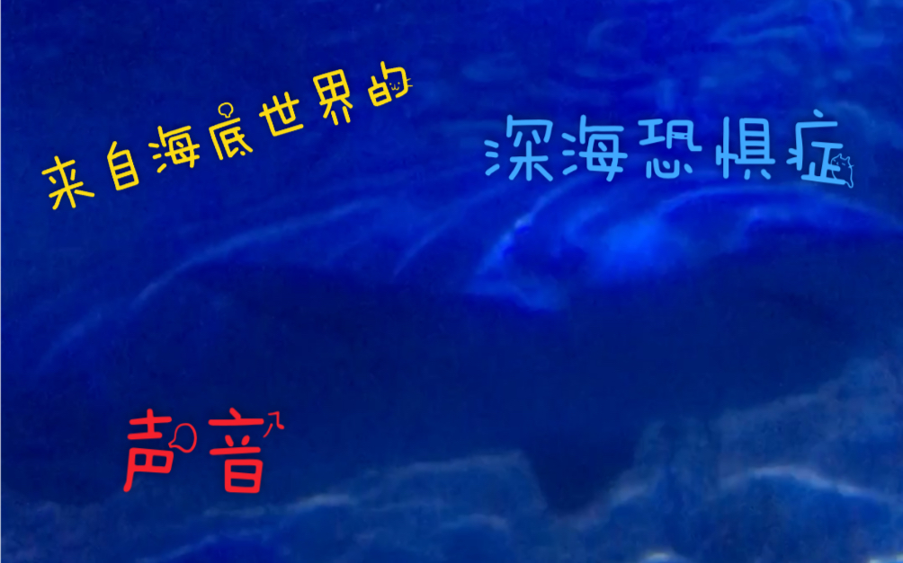 来自海底世界的声音深海恐惧