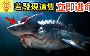 Video herunterladen: 史上最巨大的恐怖深海怪魚！