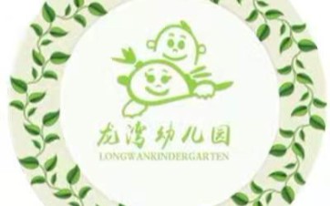 龙湾幼儿园线上亲子活动——大班游戏《水有变化吗》哔哩哔哩bilibili