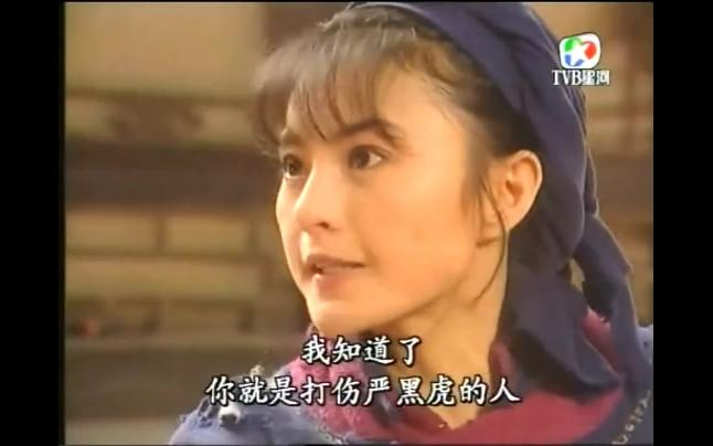 1995《南拳北腿》李赛凤打戏cut_哔哩哔哩_bilibili