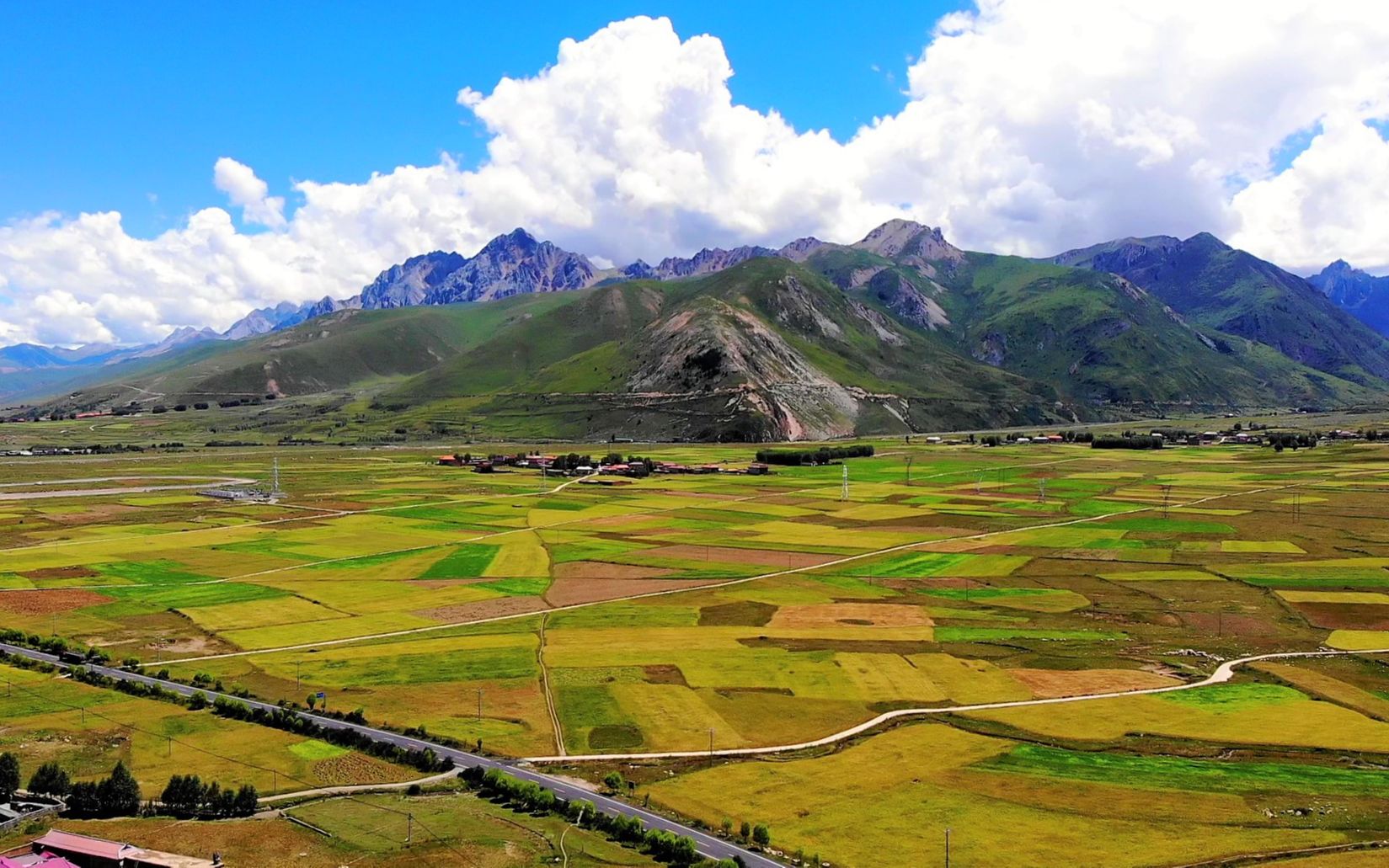 [图]川西旅行，甘孜州甘孜县，国道旁大片青稞让我惊艳，田园风光好美