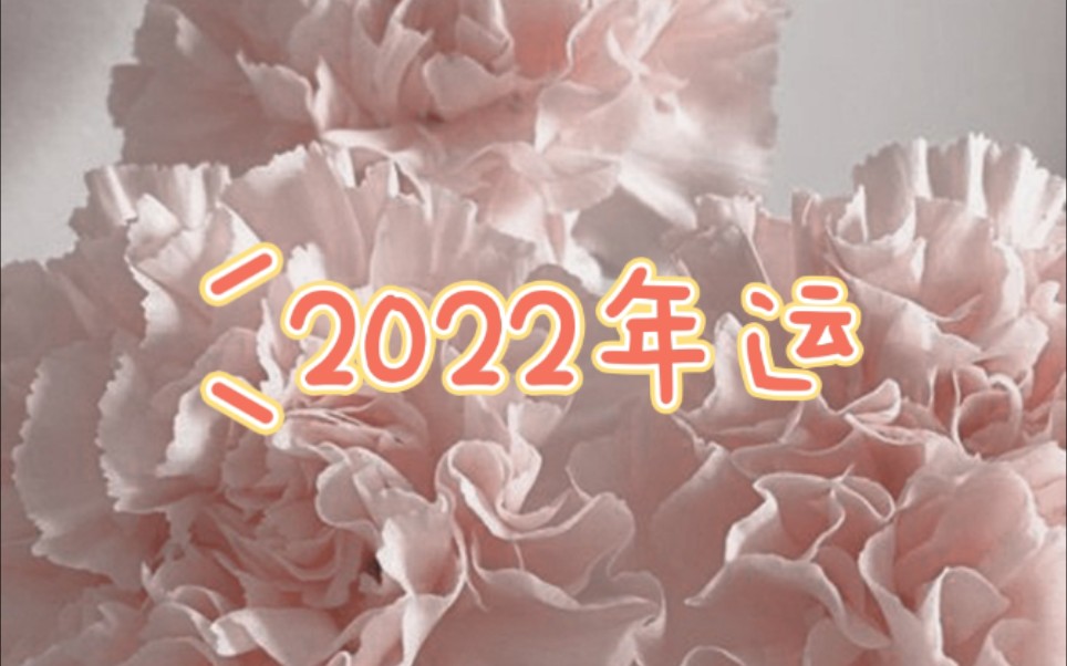 【伽虫——四季】2022年运势来啦~/占卜哔哩哔哩bilibili