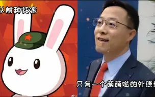 Download Video: 从前种花家只有一个萌萌哒的外焦兔，以后激流勇进，从此一发不可收拾