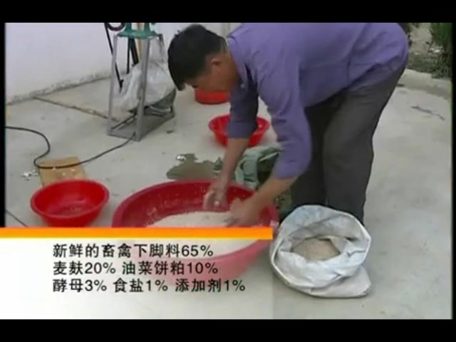 黄鳝养殖户的鳝鱼长得快又肥, 水葫芦是关键哔哩哔哩bilibili