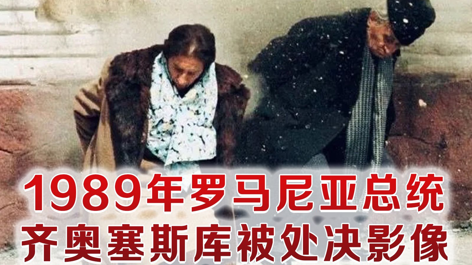 1989年齐奥塞斯库夫妇被乱抢扫死影像 5天前还掌握绝对权利