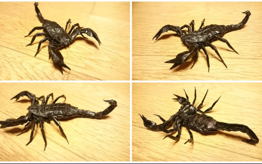 【折纸 搬运】今井雨林蝎v3聚合_哔哩哔哩 (゜-゜)つロ 干杯~-bili