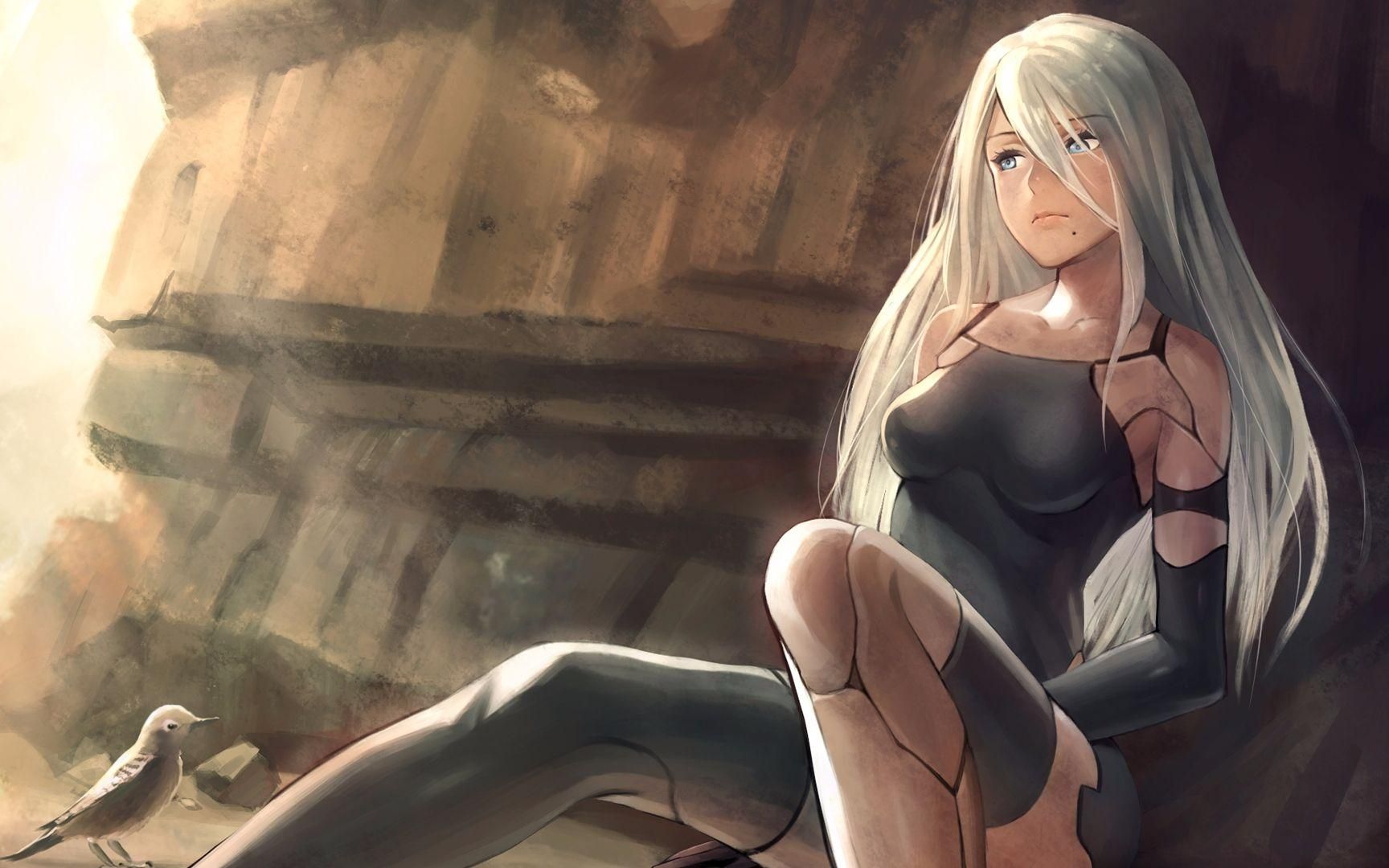 nierautomata第三十期4140猪猪冲撞伤害竟然这么高我傻了都开着扫描器