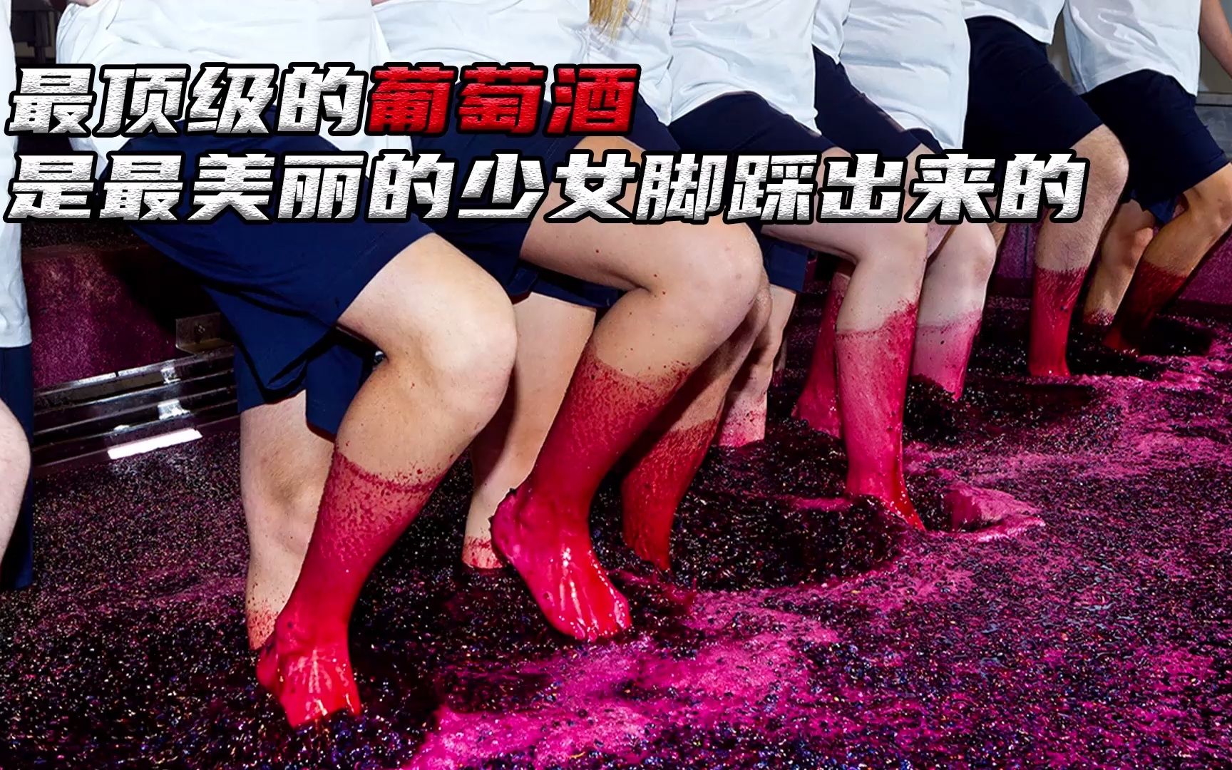 顶级的葡萄酒,没想到是最美丽的少女用脚踩出来的_哔哩哔哩_bilibili