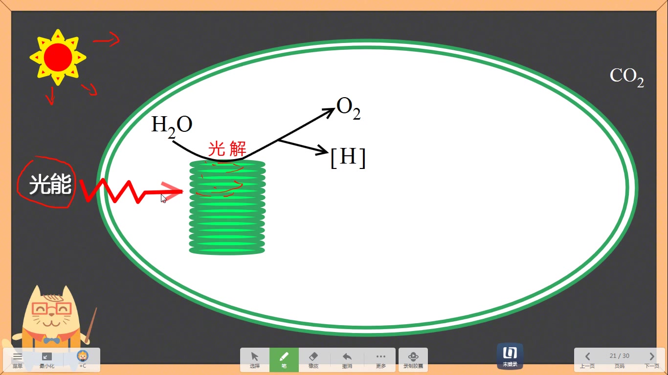 [图]知识点3 光合作用的过程