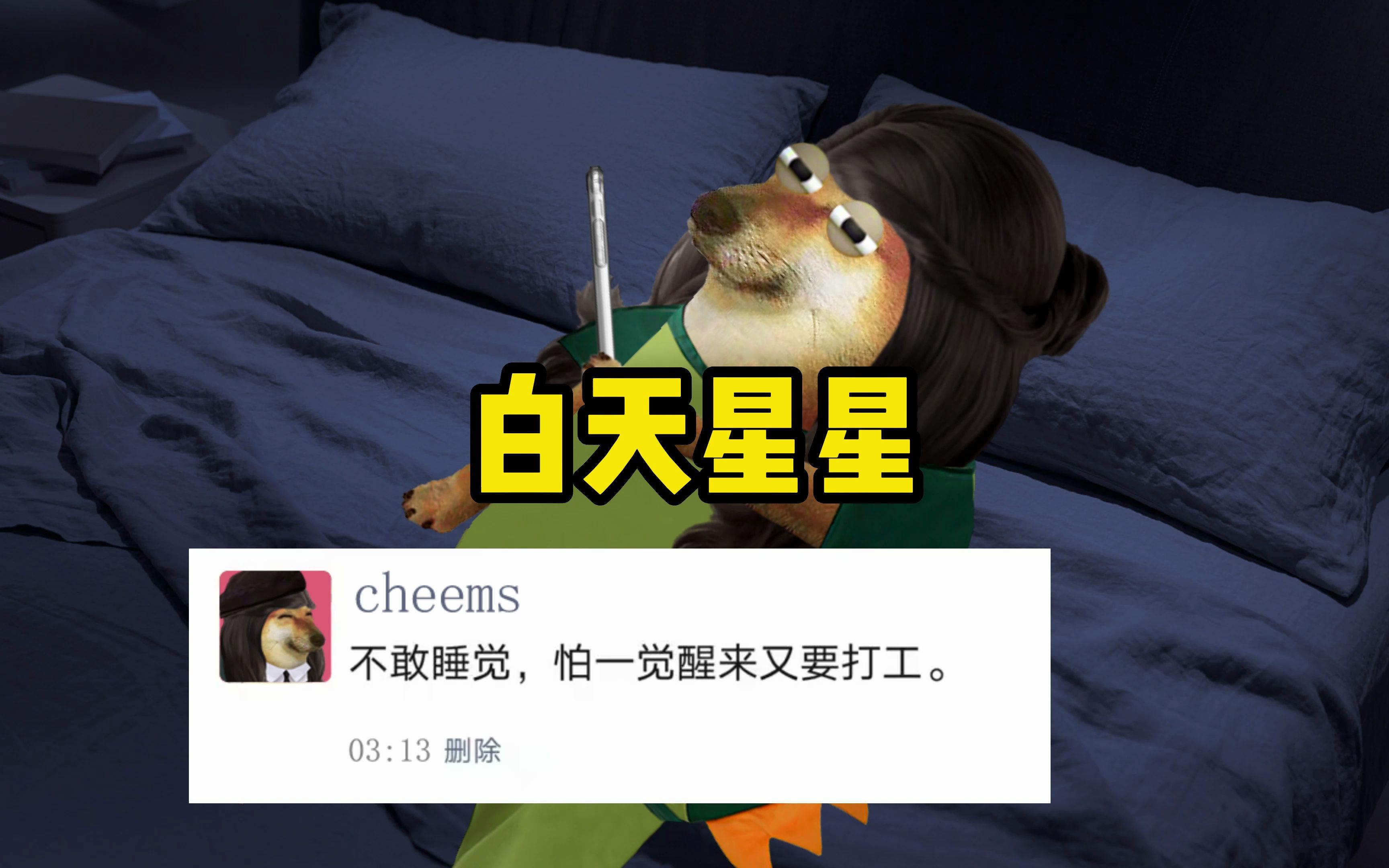 CHEEMS《白天星星》哔哩哔哩bilibili