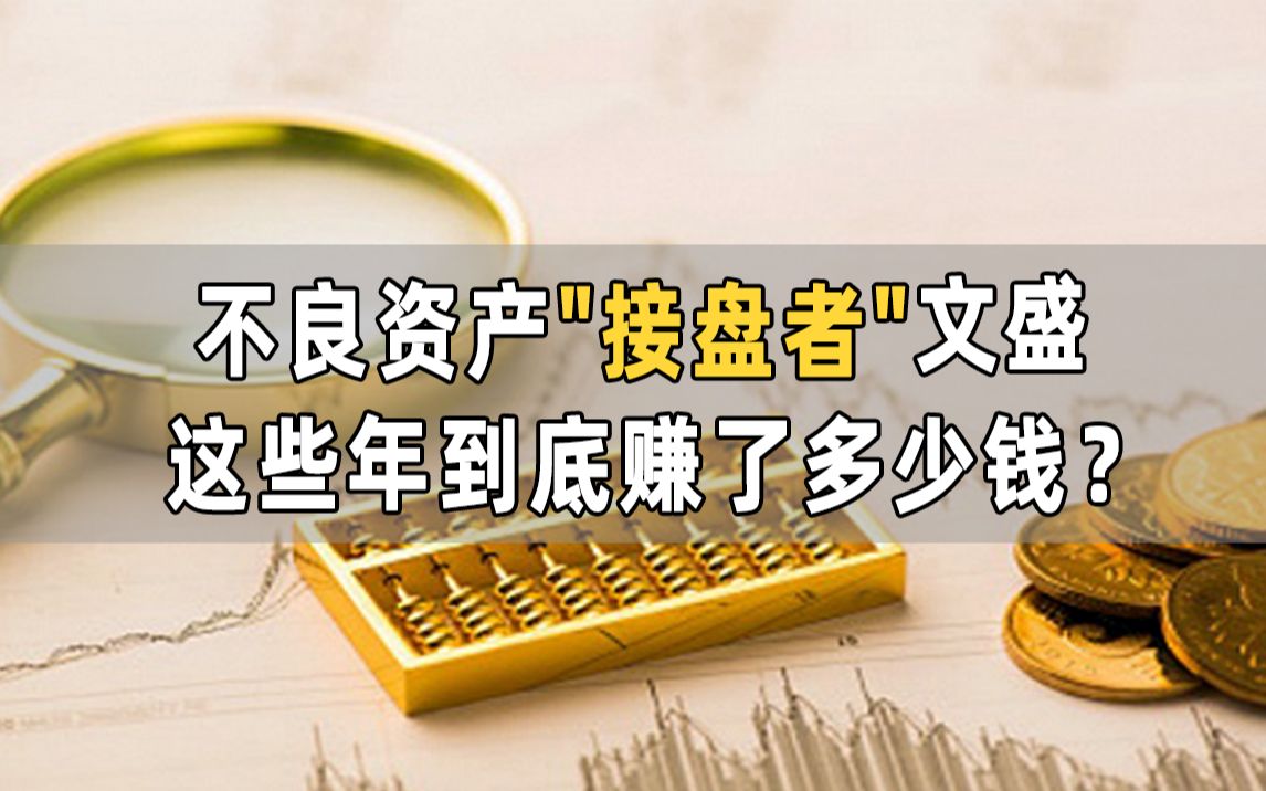 挚研宏微:不良资产接盘者文盛资产 是如何赚钱的?哔哩哔哩bilibili