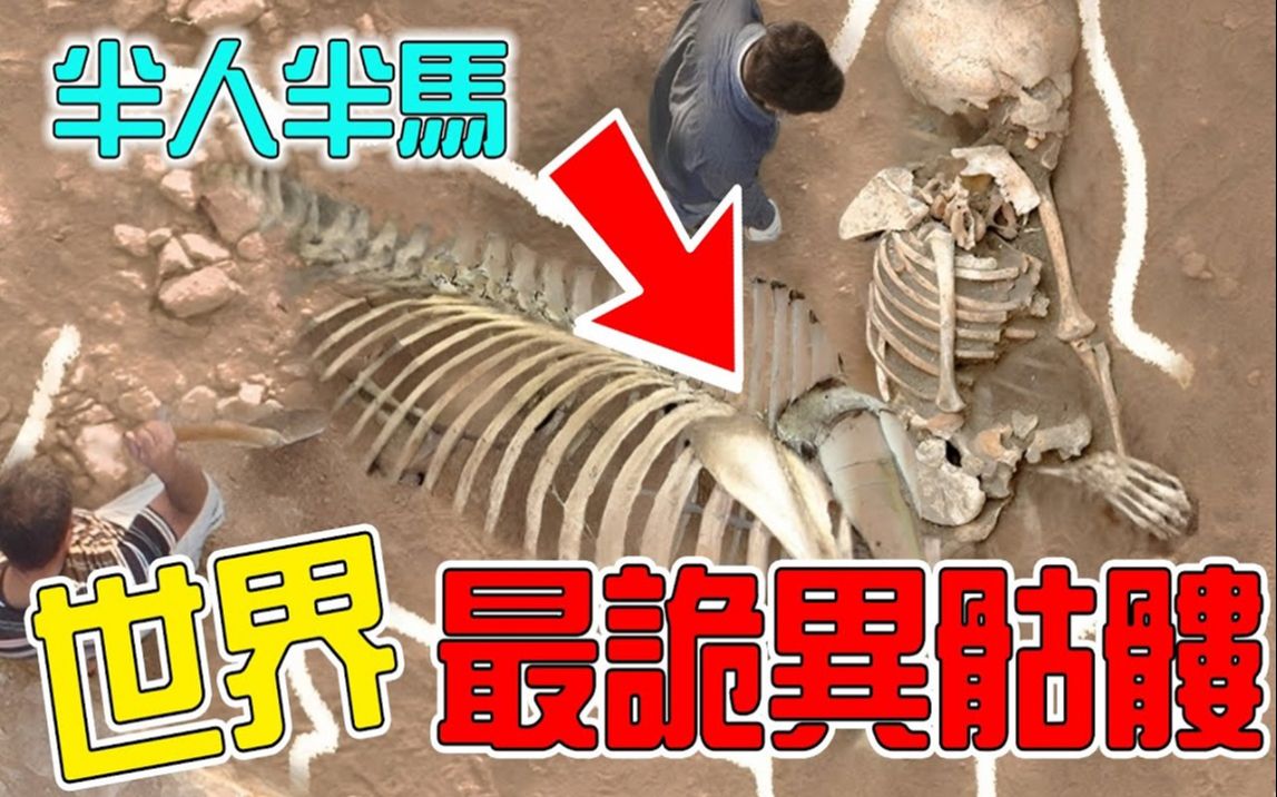 世界上最诡异的10大骷髅,半人马生物真实存在?