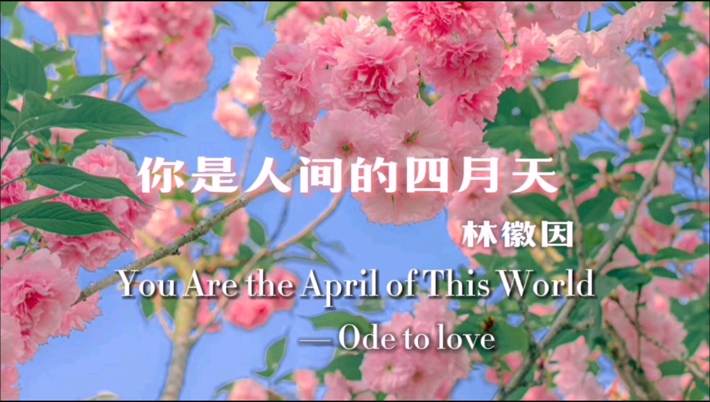 [图]《你是人间的四月天》林徽因 （You Are The April of This World —Ode to Love）中英双语版