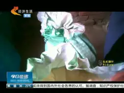 Download Video: 记者暗访狗粮加工厂，揭开廉价狗粮的秘密！