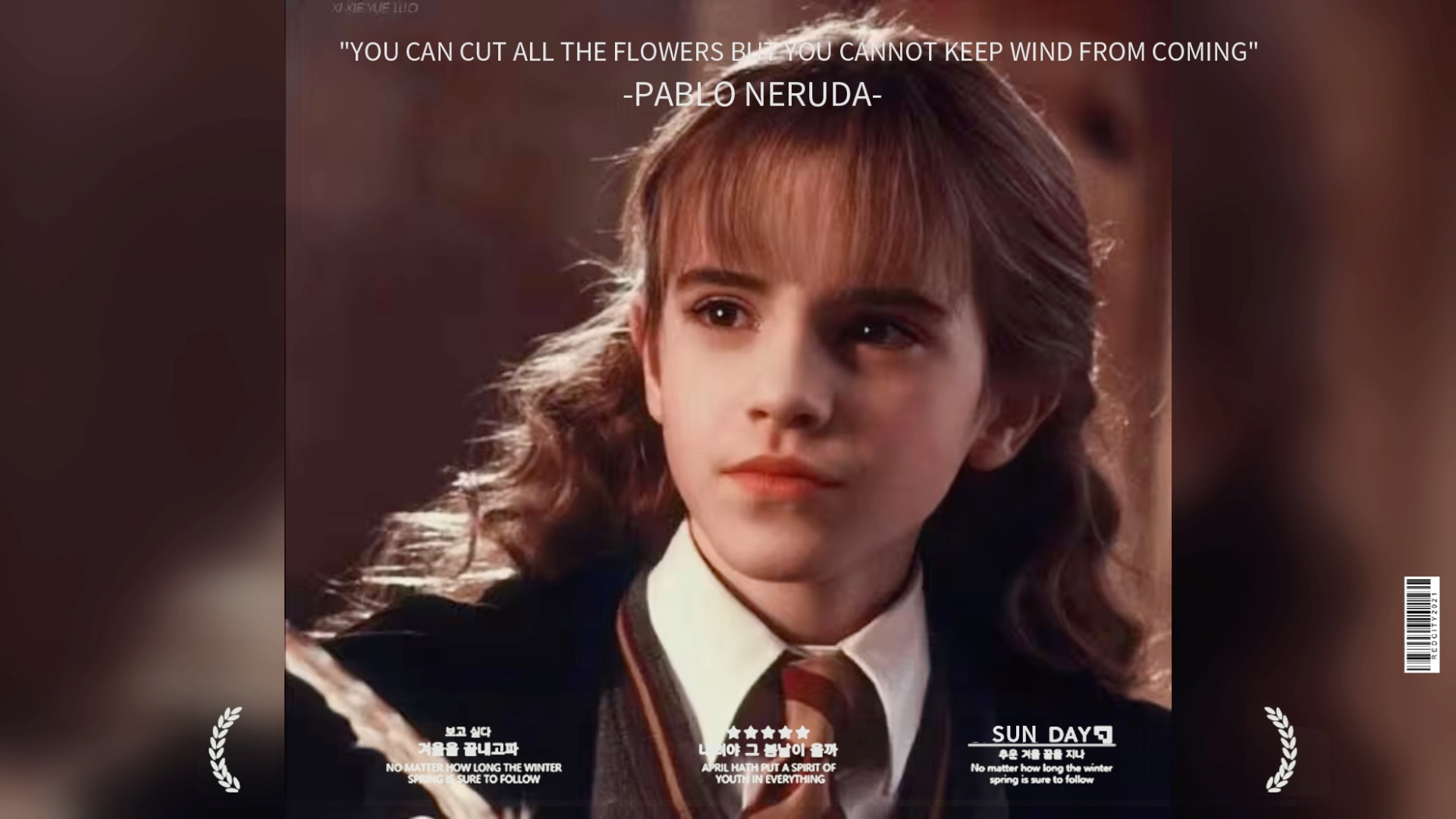 赫敏来啦～哥哥姐姐们来看一下吧